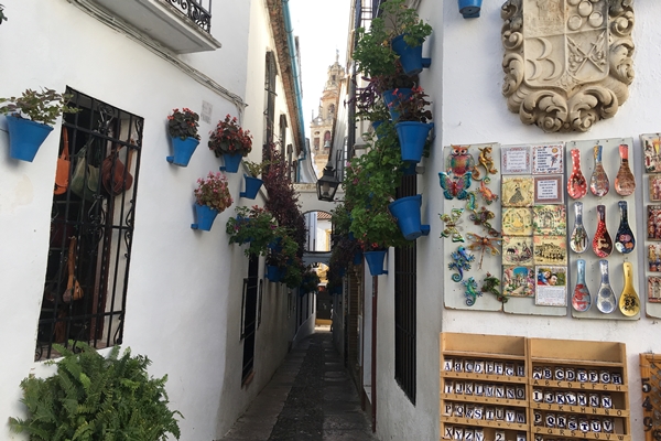 花の小道　Calleja de las Flores　